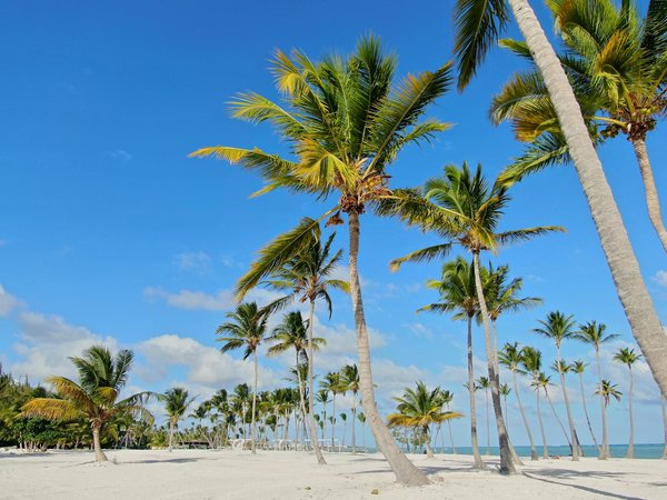 Quels sont les meilleurs conseils pour une randonnée dans les montagnes de l'Akamas, Chypre : équipements et itinéraires ?